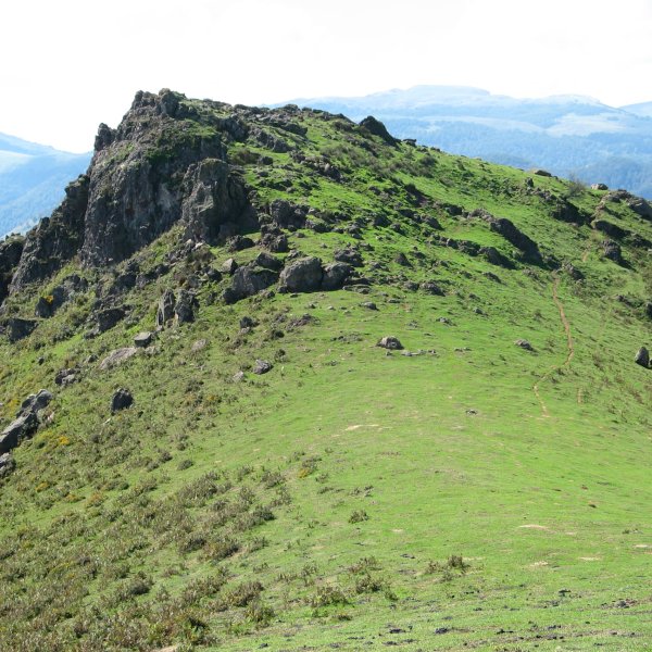 Handiaga tontorra iparraldeko bizkarretik