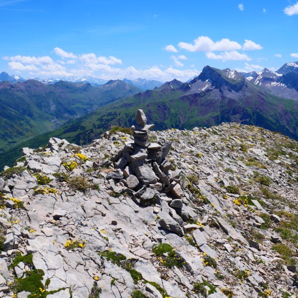 Sayéstico tontorreko harripila