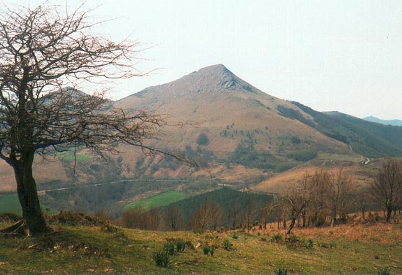 Ikuspegi zabala