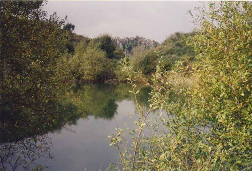 argalario inguruetan