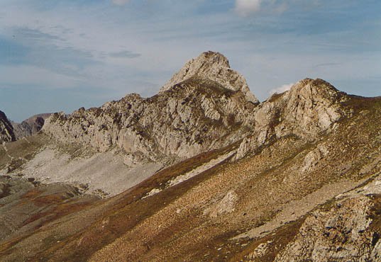 Laraillerekin lotzen duen gandorra