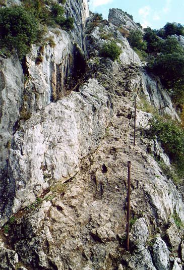 Lezearen horman gora abiatzen den bidea