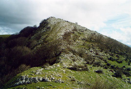 Mendebaldeko ikuspegia