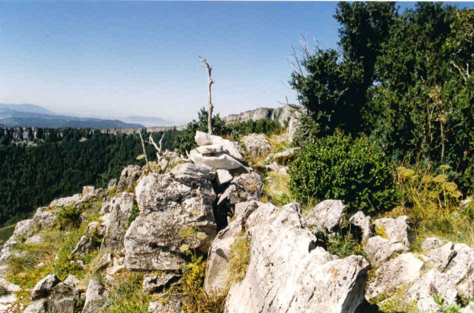 Tontorra
