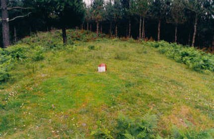 Tontorra