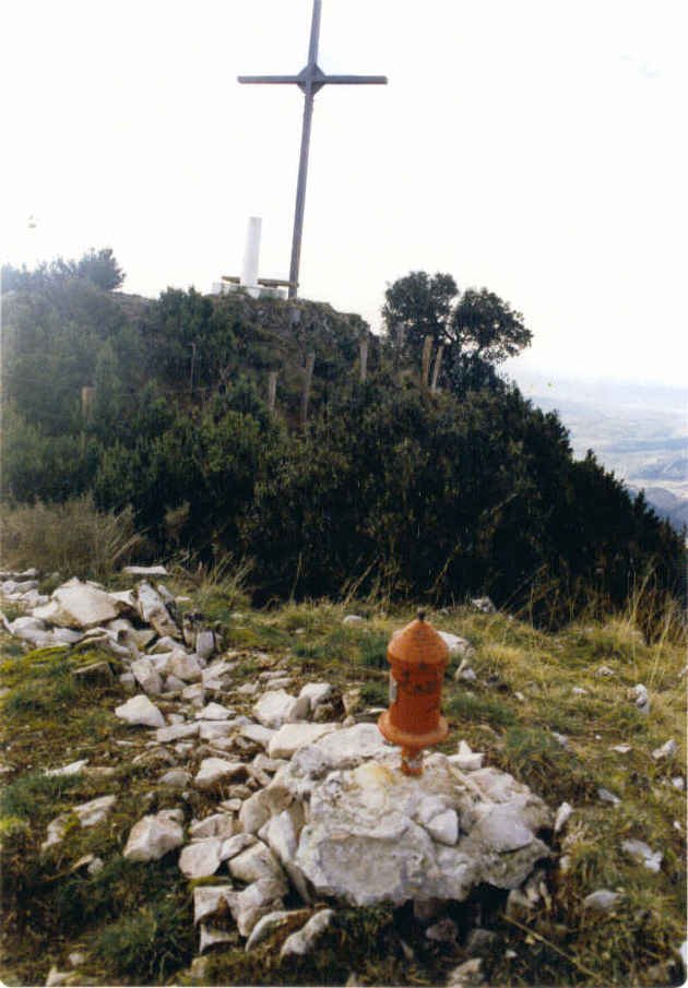 Tontorra