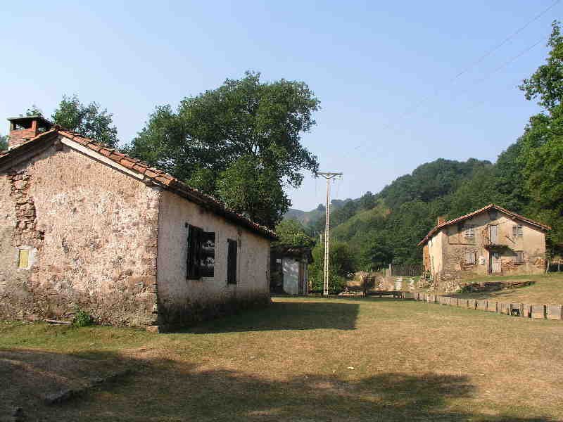 Aritzakun