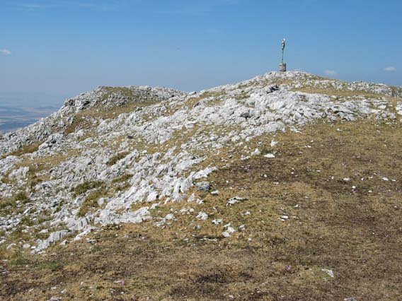 Tontorra