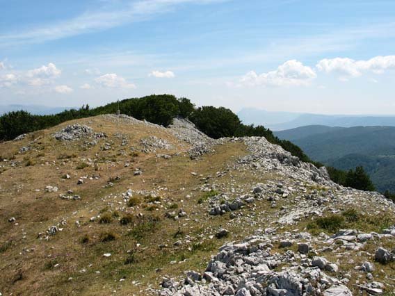 Tontorra
