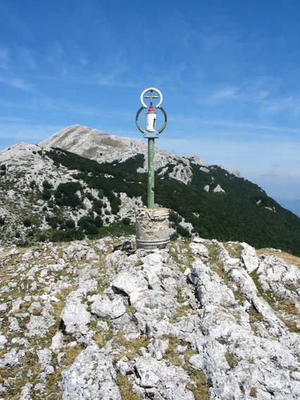 Buzoia