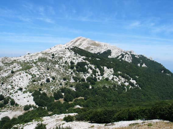 Allartetik