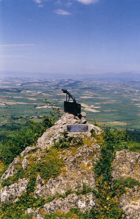Buzoia