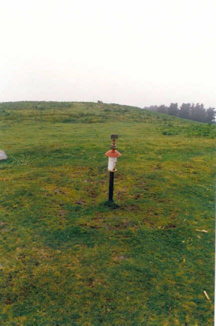 Tontorra