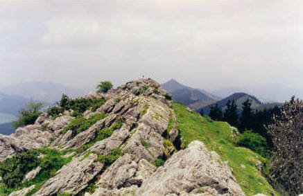 Tontorra