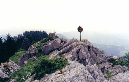 Tontorra
