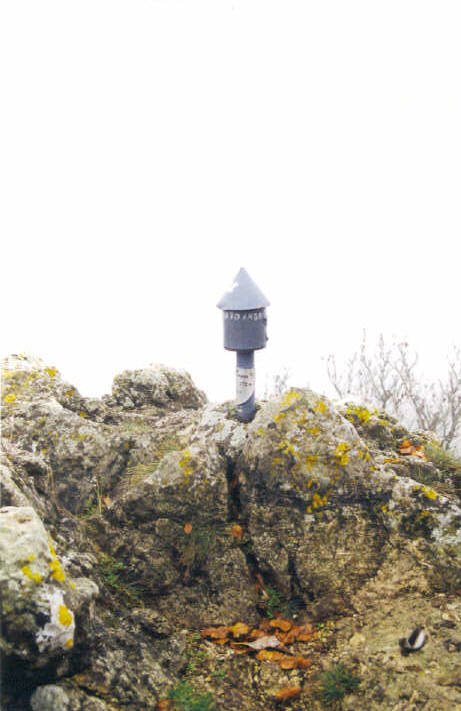 Tontorra