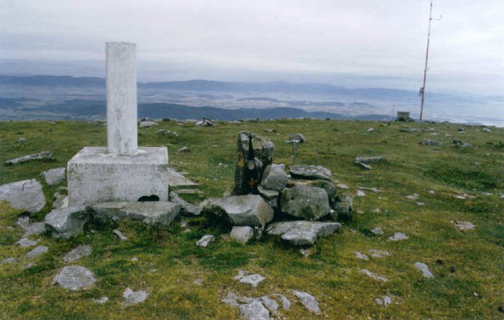 Tontorra