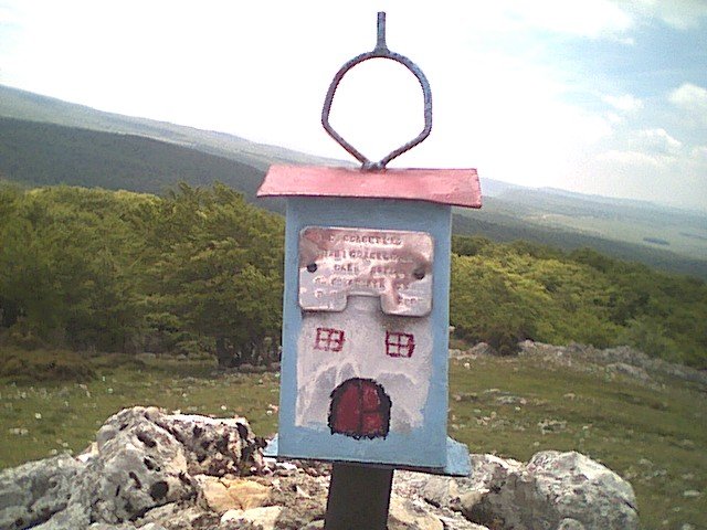 buzoia