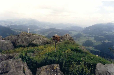 Tontorra