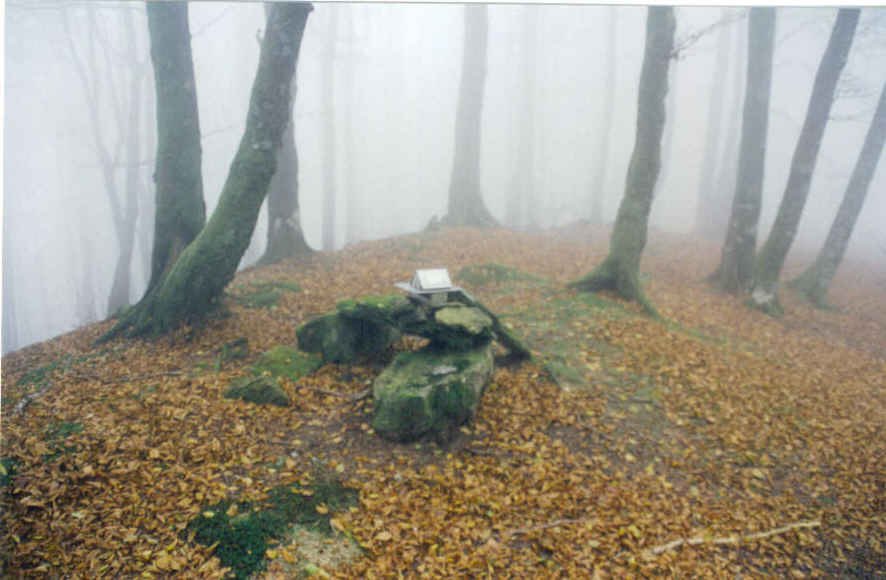 Tontorra