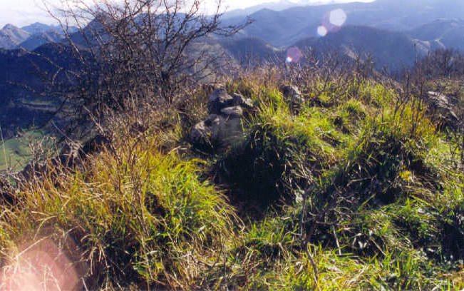 Tontorra
