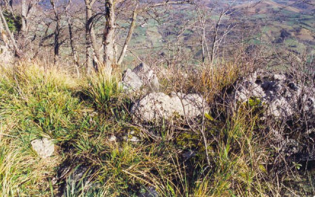 Tontorra