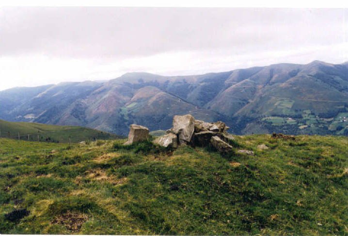 Tontorra