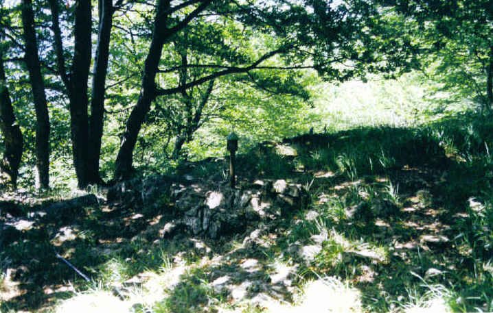Tontorra
