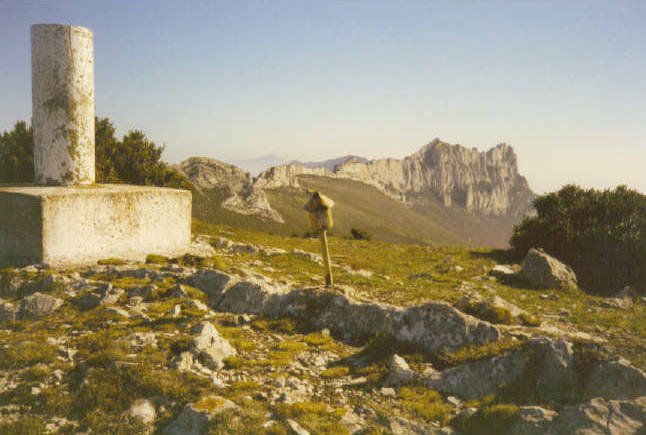 Tontorra
