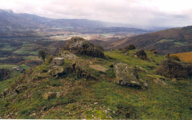 Tontorra