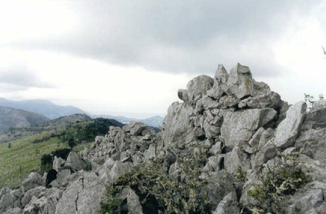 Tontorra