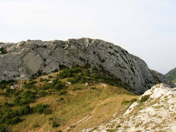 Tontorra