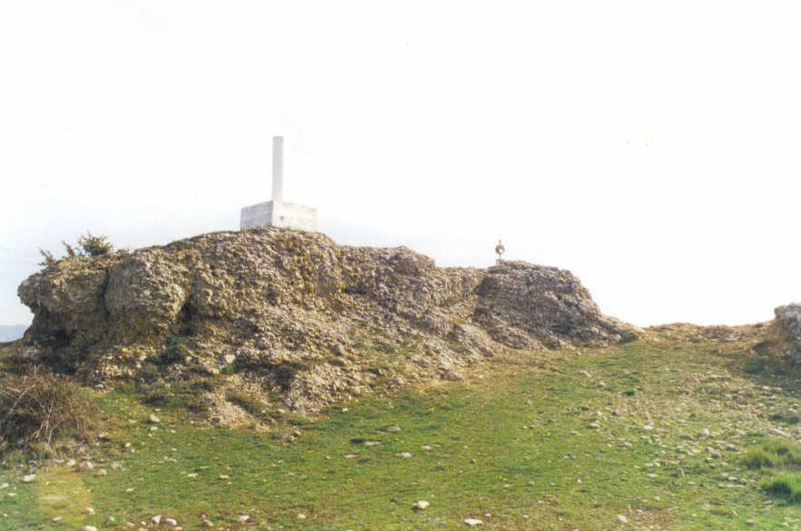 Tontorra