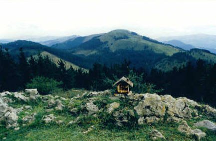 Tontorra