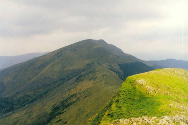 Gallarragatik