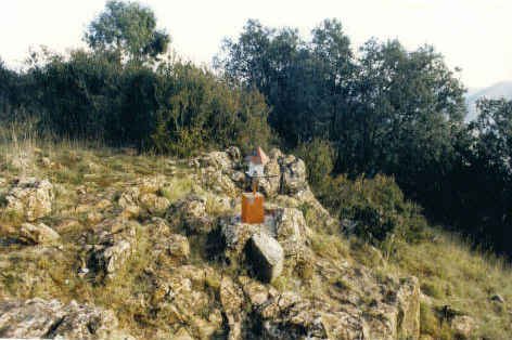 Tontorra