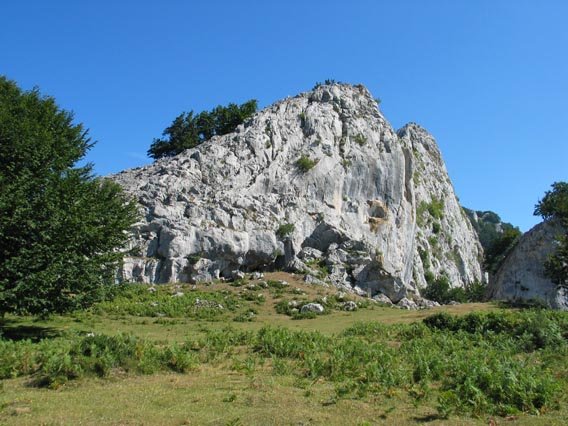 Leziako lepotik