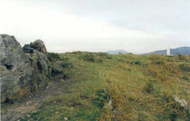 Tontorra