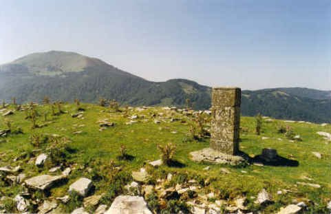 Tontorra