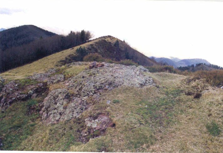 Tontorra