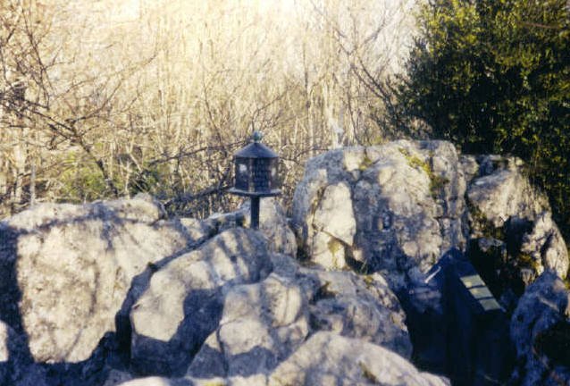Tontorra