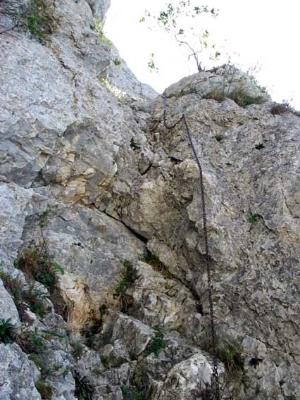 Lehenengo katea