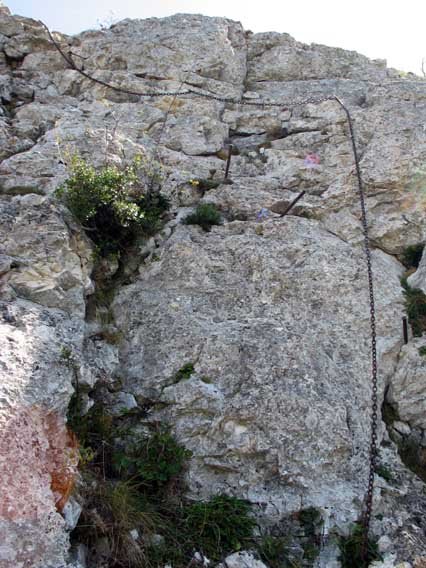 Bigarren katea