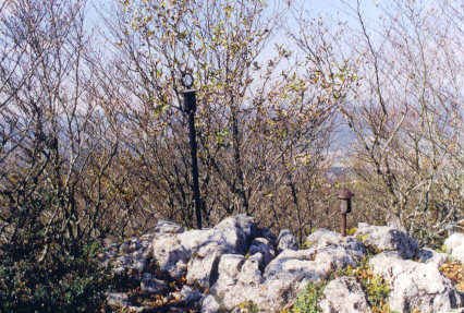 Tontorra