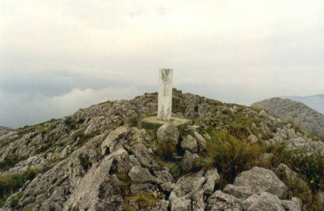 Tontorra