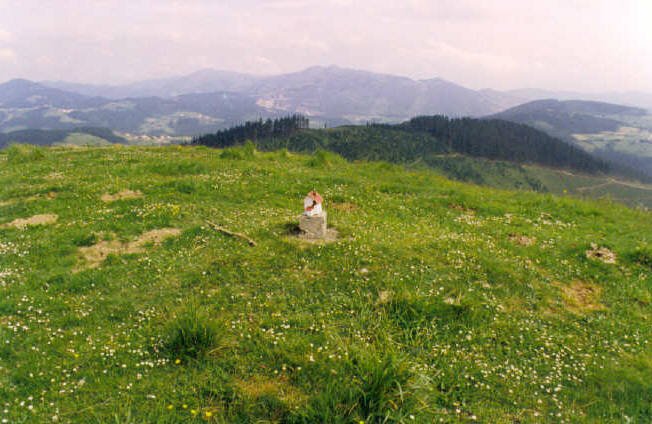Tontorra