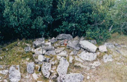 Tontorra