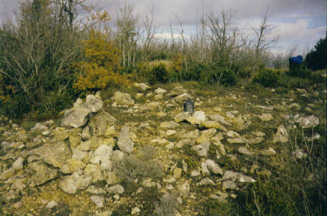 Tontorra