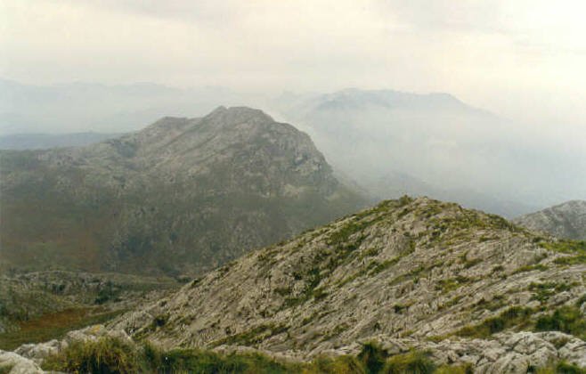 El Mazotik