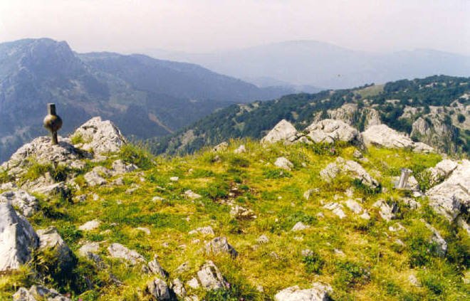Tontorra